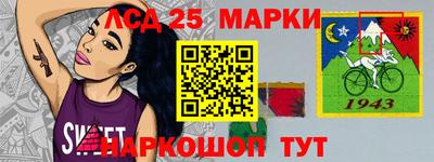 гашик Славгород