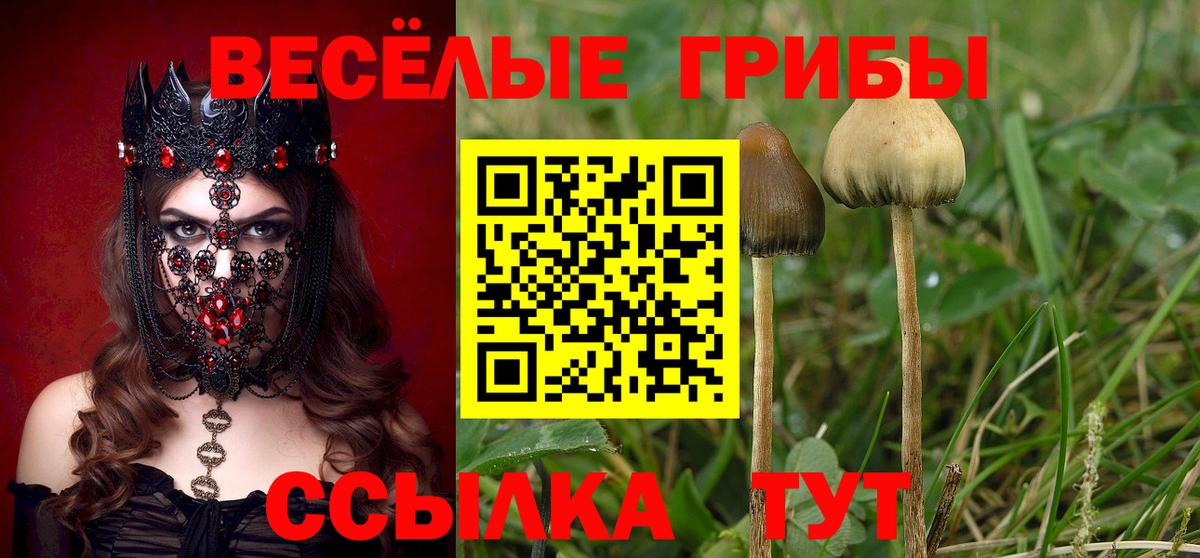 Псилоцибиновые грибы Cubensis Усть-Илимск