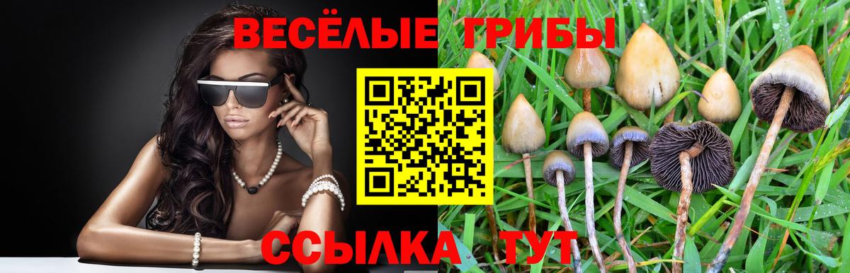 Галлюциногенные грибы Psilocybe  Вход с VPN  Усть-Илимск 